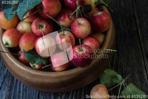 Image of Fresh harvest of apples