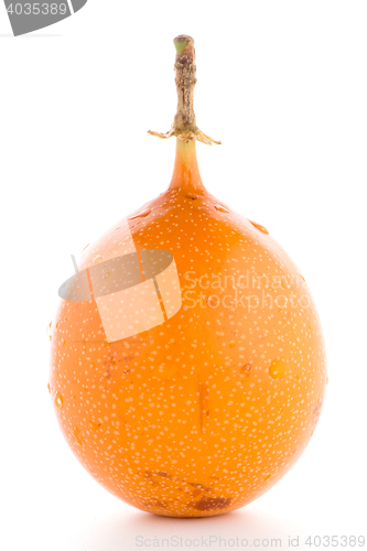 Image of Passion fruit maracuja granadilla