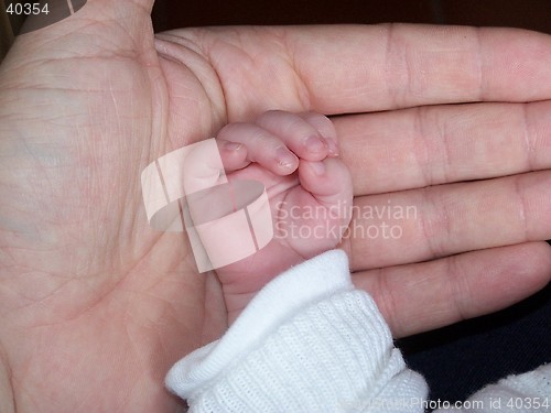 Image of His Little Hand