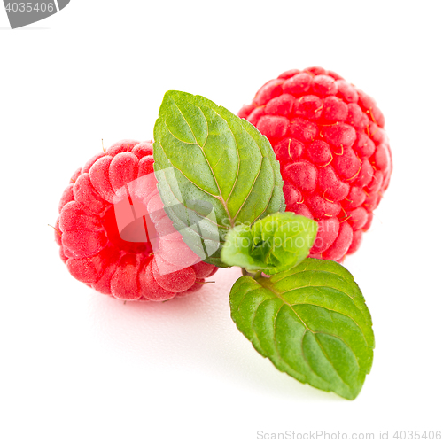 Image of Raspberry fruit isolated