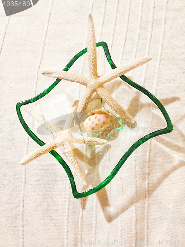 Image of Glass container wwith starfishes and a shell