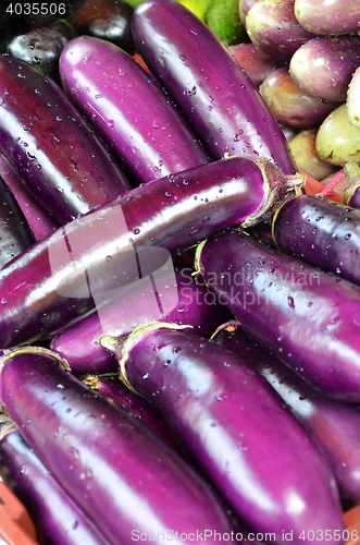 Image of Raw ripe Eggplant