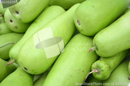 Image of Raw green Calabash 