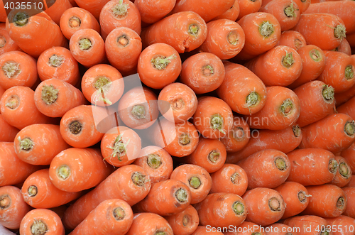 Image of Raw carrots on display at Vegetable Stall 