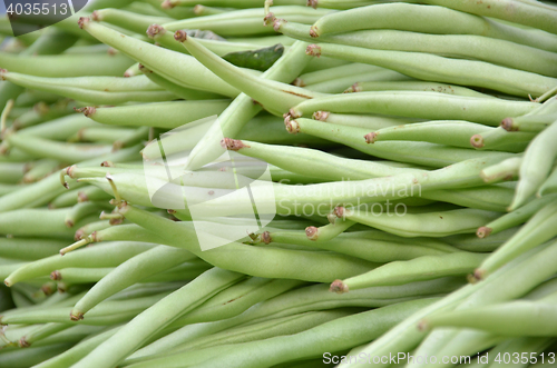 Image of Fresh small, slender wax green beans