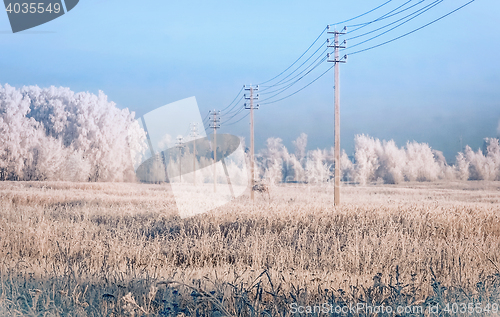 Image of Power line in the snow covered field