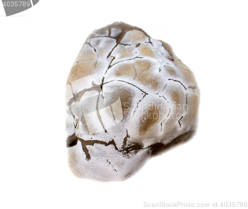 Image of Unusual mysterious stone-skull. Memento Mori