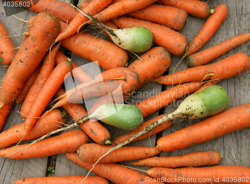 Image of Background from carrot