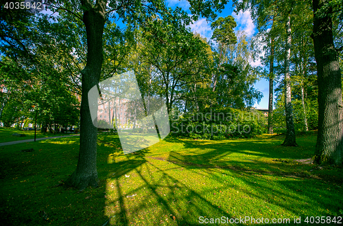 Image of 