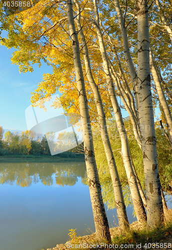 Image of Sunrise in the autumn forest