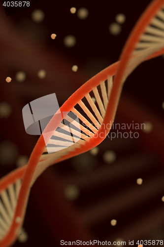 Image of DNA chain macroshot. 
