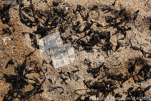 Image of natural sand