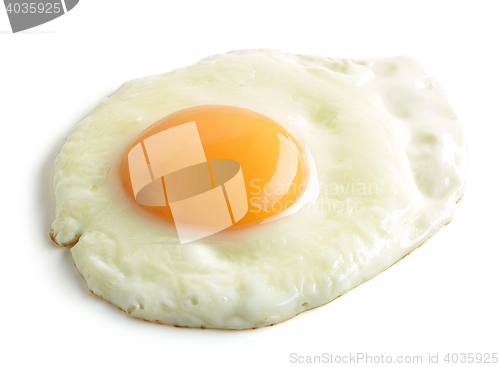 Image of fried egg on white background