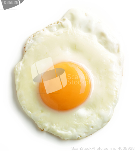 Image of fried egg on white background