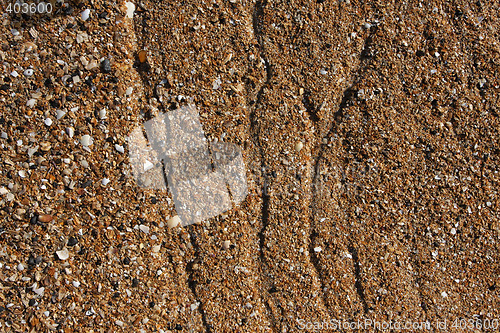 Image of shell sand