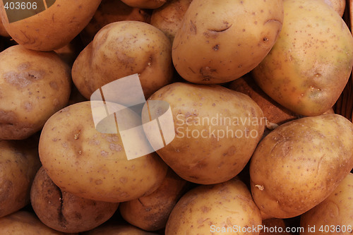 Image of potatoe background