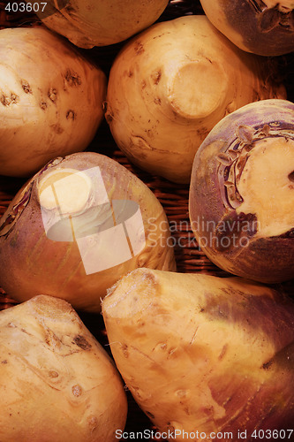 Image of turnip background