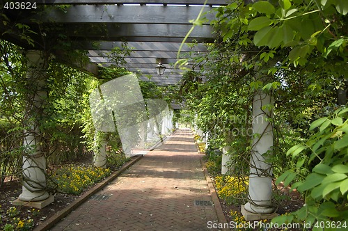 Image of Spring walkway