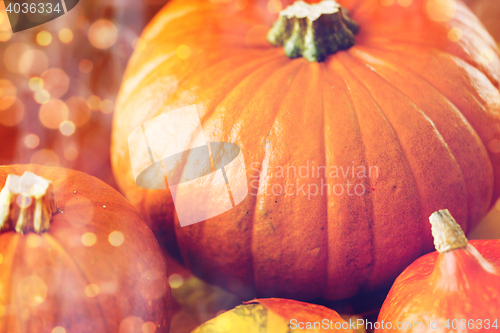 Image of close up of pumpkins on wooden table at home