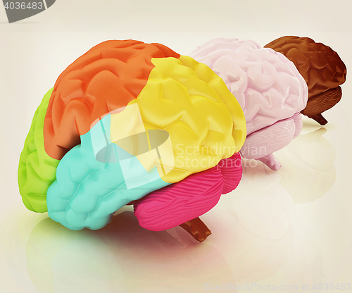 Image of Human brains. 3D illustration. Vintage style.