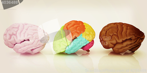 Image of Human brains. 3D illustration. Vintage style.