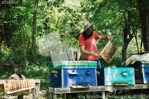 Image of Man holding honeycomb at apiary