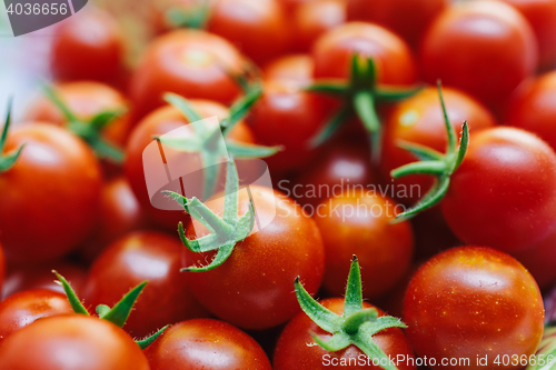 Image of Group of fresh tomatoes