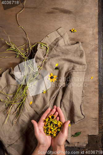 Image of The florist desktop with working tools and ribbons