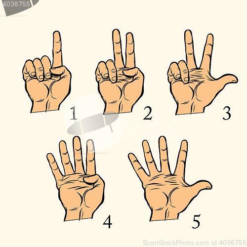 Image of Set of hand gestures count 1 2 3 4 and 5