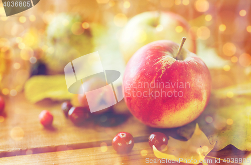 Image of close up of autumn leaves, fruits and berries