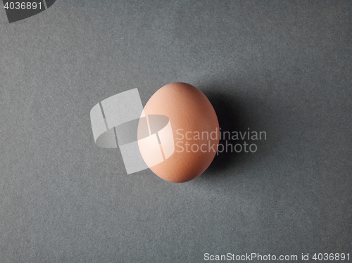 Image of fresh brown egg on gray background