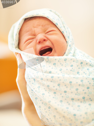 Image of Crying newborn in mothers hands