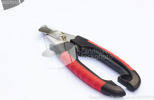 Image of 