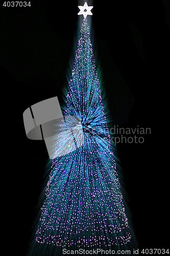 Image of christmas tree
