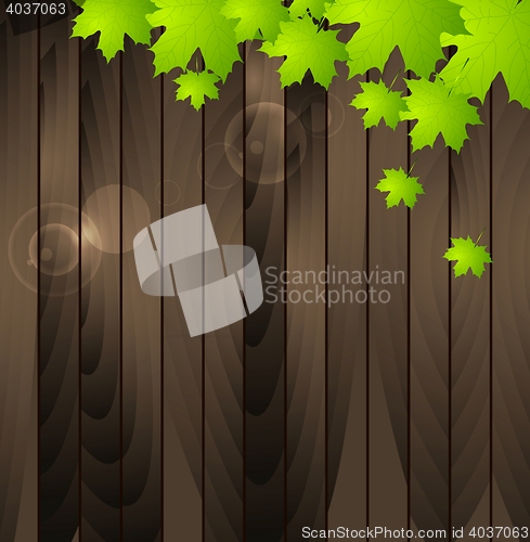 Image of Green summer leaves on wooden background