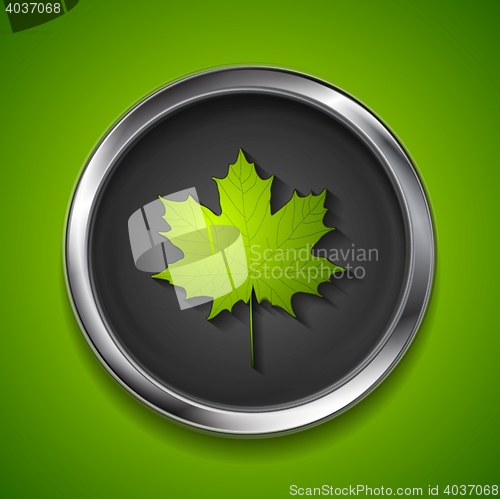 Image of Green summer maple leaf on metal button