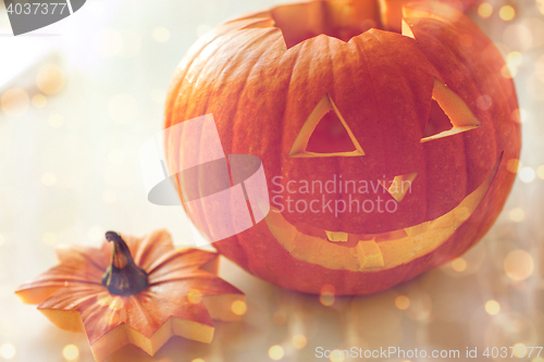 Image of close up of pumpkins on table