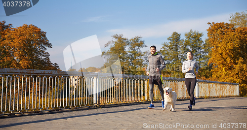 Image of happy couple with dog running outdoors