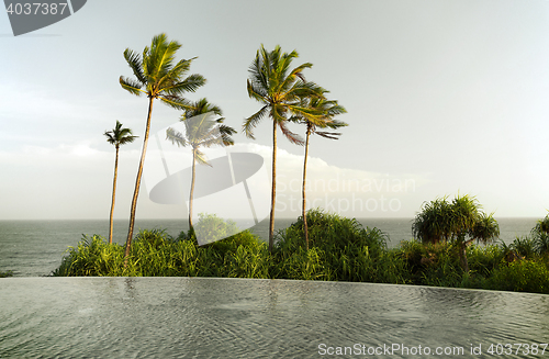 Image of view from infinity edge pool to ocean and palms