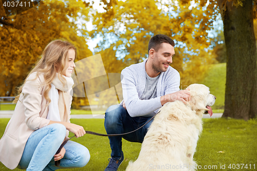 Image of happy couple with labrador dog walking in city