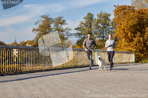 Image of happy couple with dog running outdoors