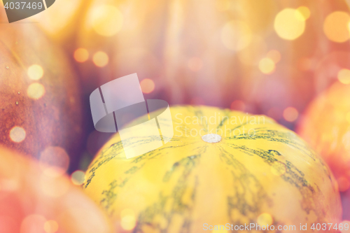 Image of close up of pumpkins