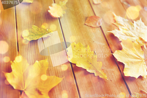 Image of close up of many different fallen autumn leaves