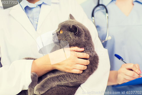 Image of close up of vet with cat and clipboard at clinic