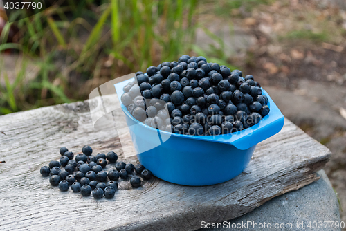 Image of Bowl with blueberries.