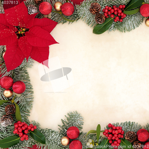 Image of Poinsettia Floral Background Border