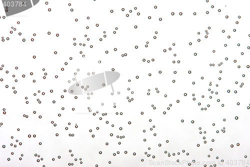 Image of bubble background