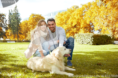 Image of happy couple with labrador dog walking in city