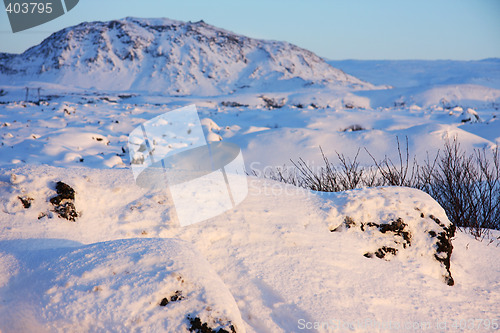 Image of winter sun