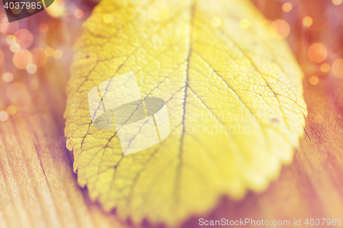 Image of close up of yellow autumn leaf on wooden table